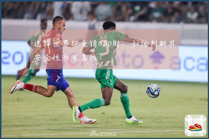 选择世界杯竞猜app时，如何判断其安全性和可靠性？