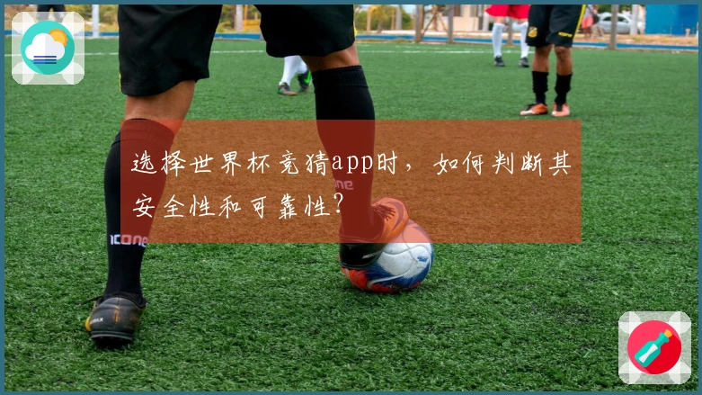 选择世界杯竞猜app时，如何判断其安全性和可靠性？